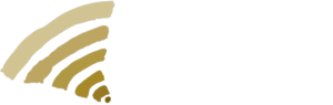ТАССО Интернейшнл лого